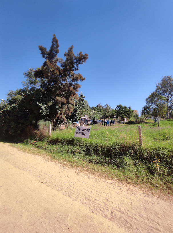 Captura de Pantalla 2025-05-16 a la(s) 11.51.13