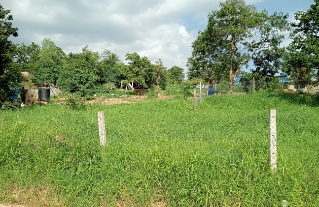 Captura de Pantalla 2025-05-16 a la(s) 11.52.01