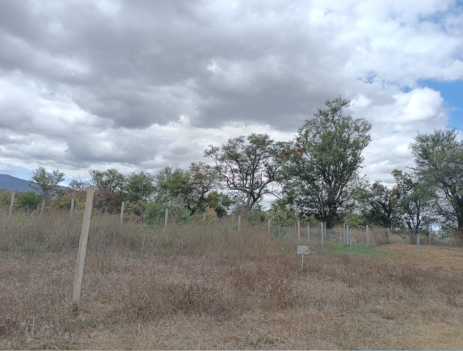 Captura de Pantalla 2025-05-16 a la(s) 12.01.33