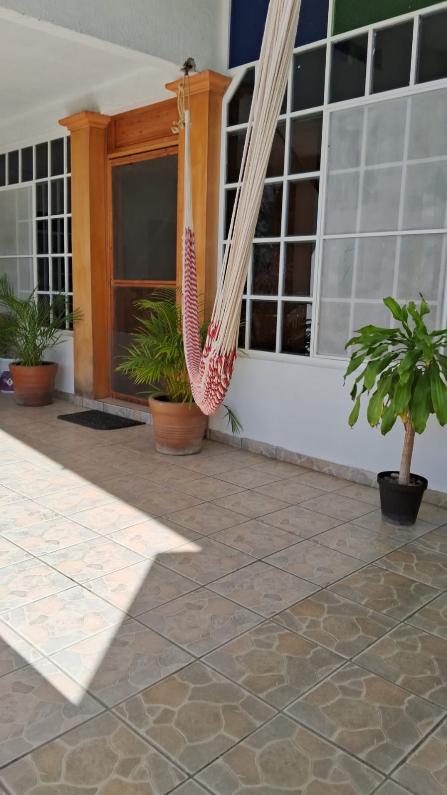 IMG-20241223-WA0014(1)